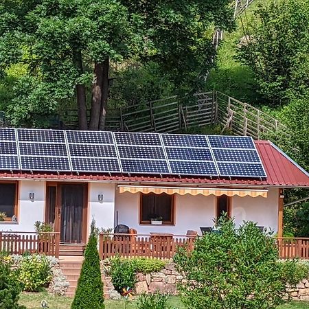 Ferienhaus Manoury Am Klosterbrunnen Waldeck  Ngoại thất bức ảnh